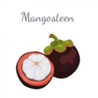 山竹社区下载安装