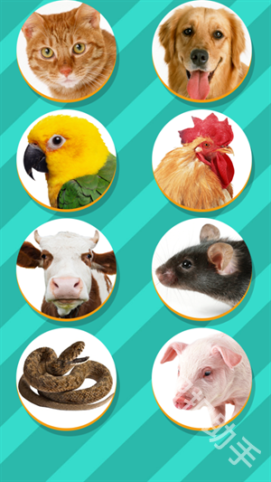 Pet Translator