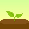 Forest官方正版下载  v4.89.1