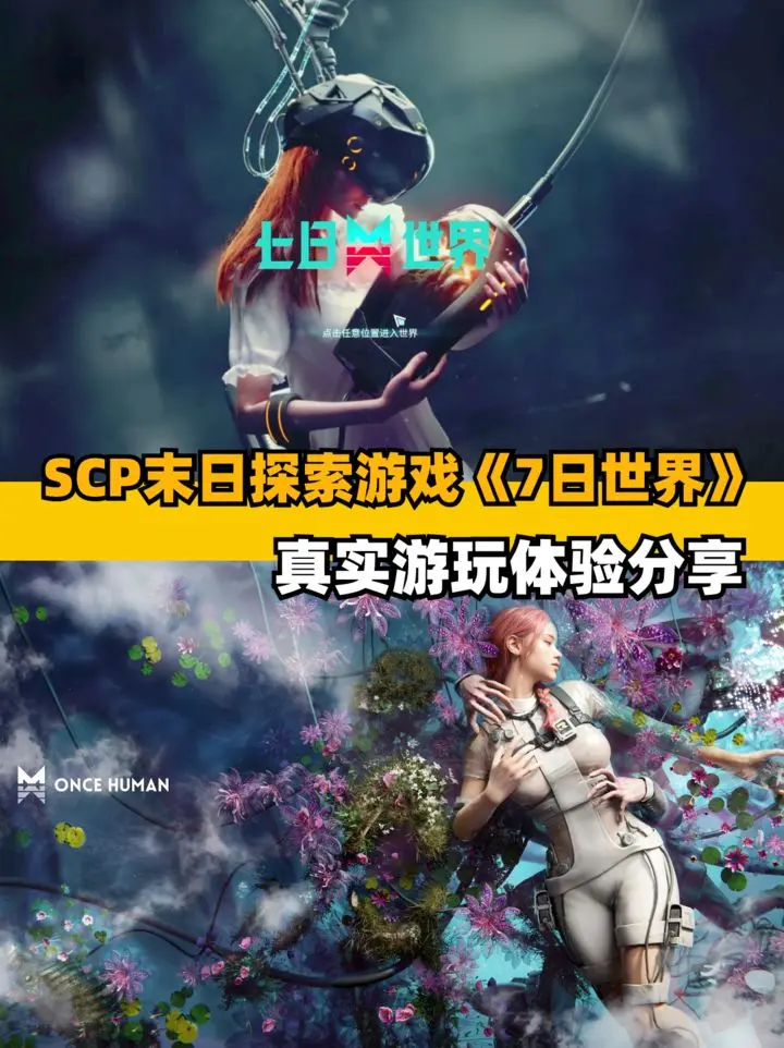 七日世界官方版