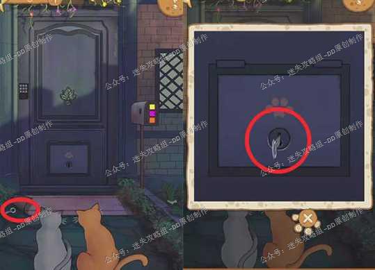 流浪的橘猫侠