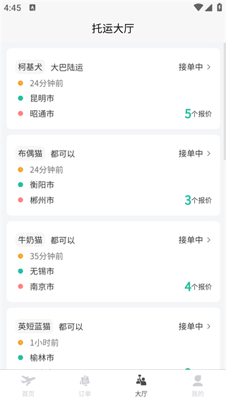 宠贝贝宠物托运