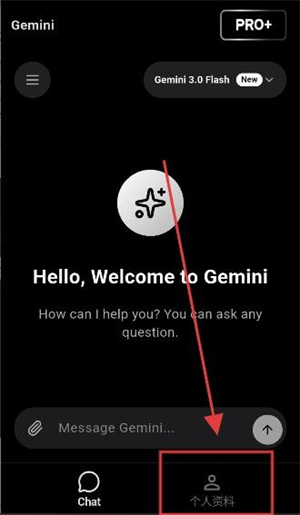 双子座AIapp下载(Gemini)