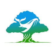 鲲桉嗨购app1.0.0