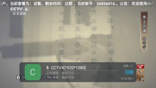 鲨鱼TV