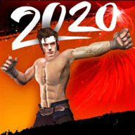 Kungfu Karate Street Fight1.21