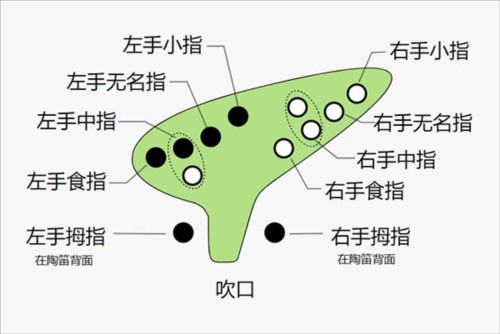 快乐谱app免费版新手入门教程2