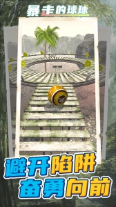 暴走的球球游戏下载  v1.1.6  