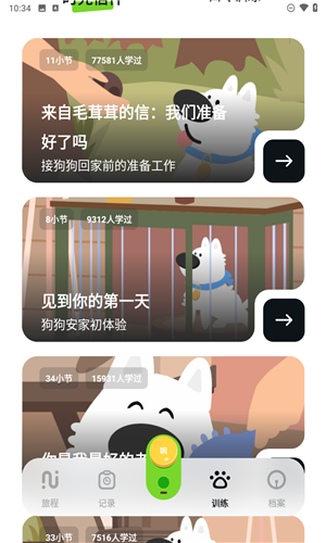 尾巴纪元