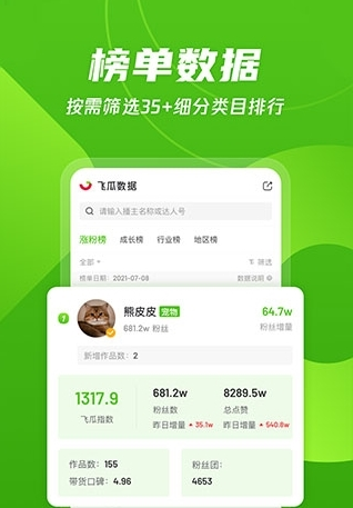飞瓜数据