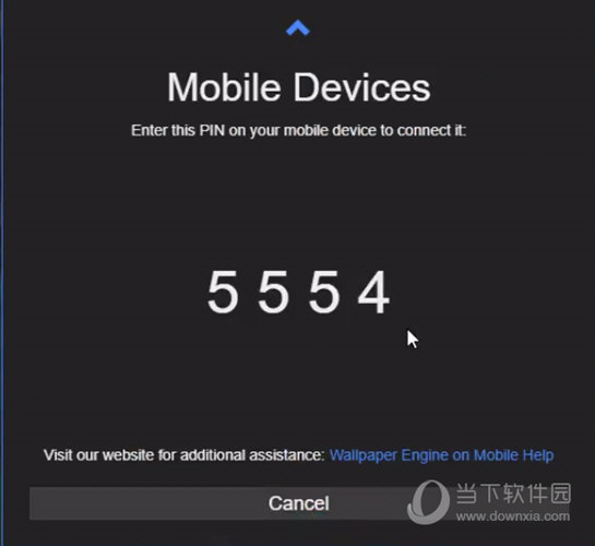 显示 4 位数 PIN