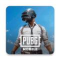 pubg手游正版  V3.9.0下载
