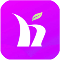 盒子市场应用软件官方版3.3最新版