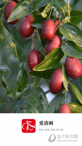 爱清涧APP