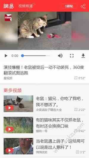 预览图2