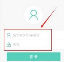 智学网app4