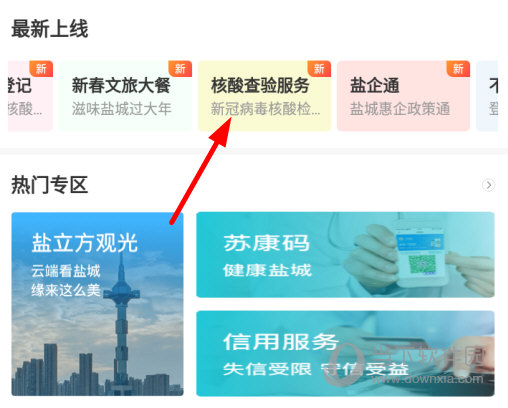 点击“核酸查验服务”