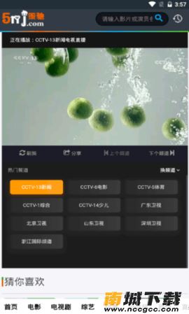 预览图1