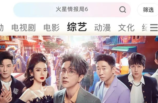 荣耀视频优酷定制版