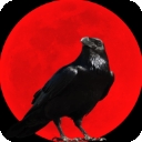 乌鸦之霜手机版下载 v1.2.12