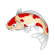 锦鲤影视app最新版