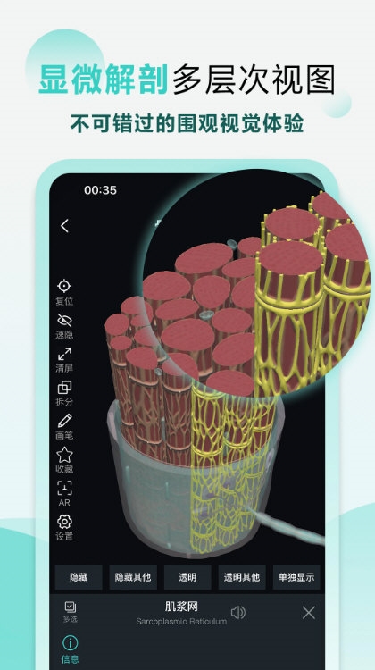 掌上3D解剖2