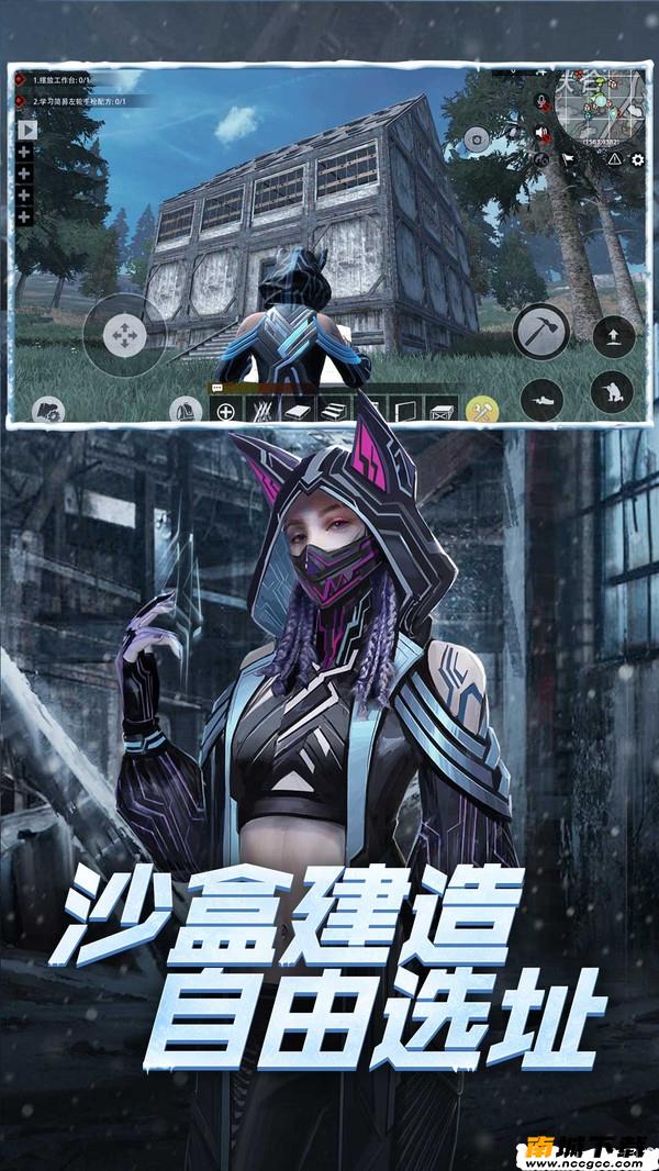 预览图2