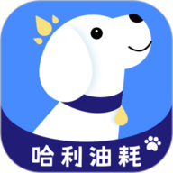 哈利油耗