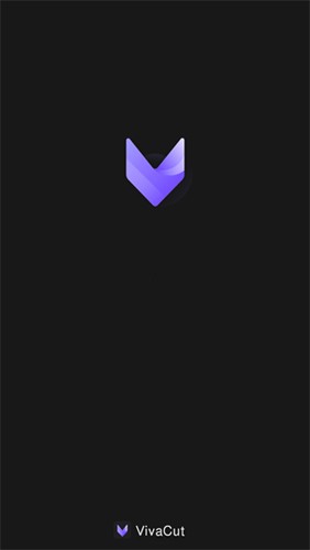 VivaCut国际版官方版 v4.1.9
