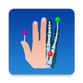 eAnatomyİ