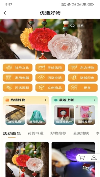 享游洛阳4