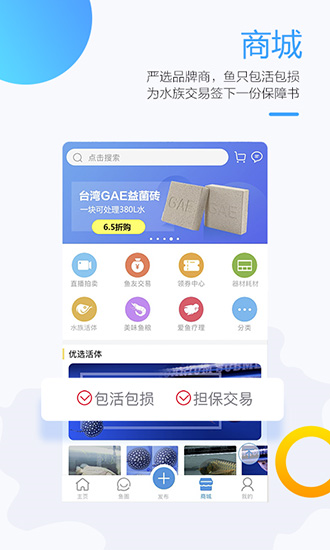 龙巅2