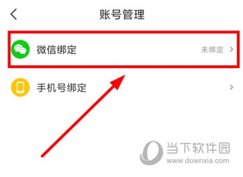 月鼠小说