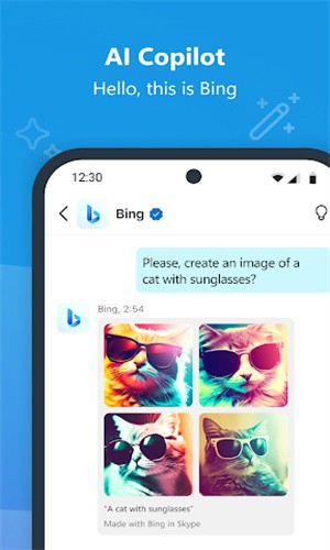 Skype官方版