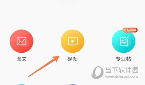 龙巅视频