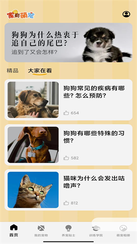 使用教程截图3
