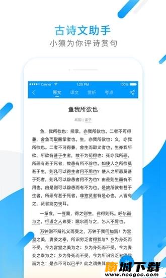 预览图3