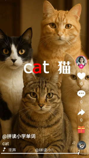 刷单词手机版