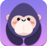 酷我聚星appv8.36.01