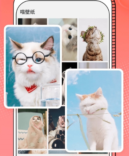 Cat Translation3