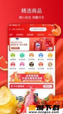 预览图3