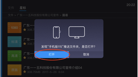 115網盤電視版