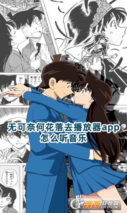 無可奈何花落去播放器app官方版下載