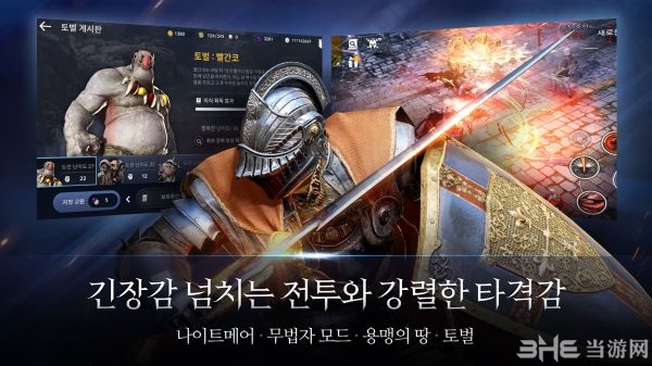 黑色沙漠手游图片1