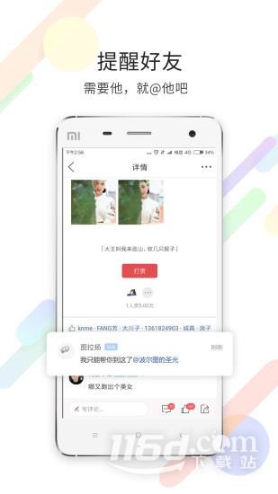 茶竹永川网