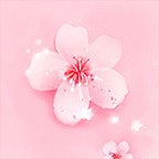 桃花视频手机在线观看最新版 