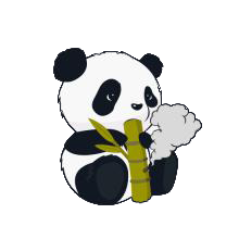 小熊猫辅助器超自然模式下载 v2.10.00