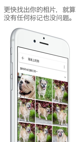 Google Photos appͼƬ2