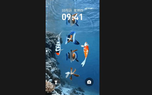 錦鯉金魚壁紙最新安卓版