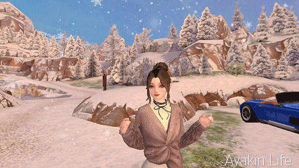 Avakin虚拟世界正版